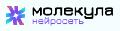 Молекула в Сочи